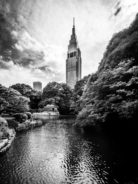 Shinjuku Gyoen Park