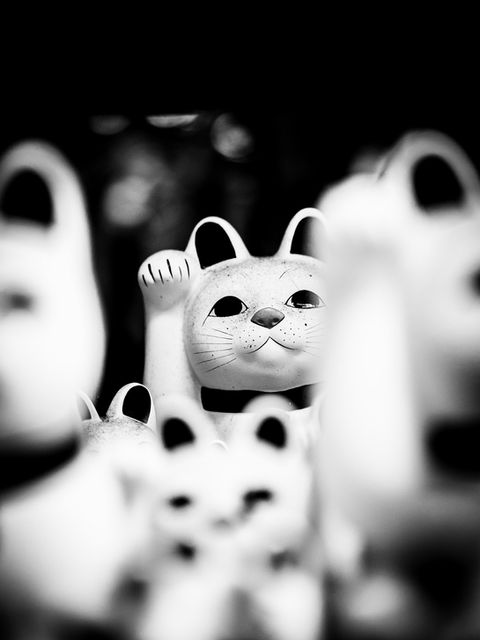 Lucky cats
