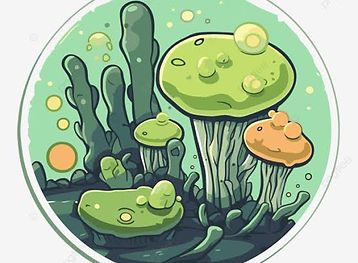 WhatsApp Image 2026-01-25 at 5.35.22 PM.jpeg