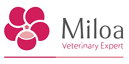 Capture d’écran 2025-10-20 à 17.52.26.png