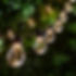 LIGHT11 100m Outdoor String Light