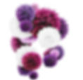 DBS003D PURPLE MIX