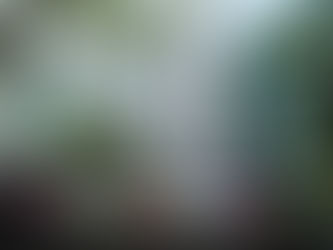 The Singaporean Arts Scene is Straining, and Something’s Gotta Give