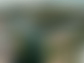  Guía de Propiedades Inmobiliarias en EE. UU.