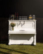 DSC09353 kopie_edited