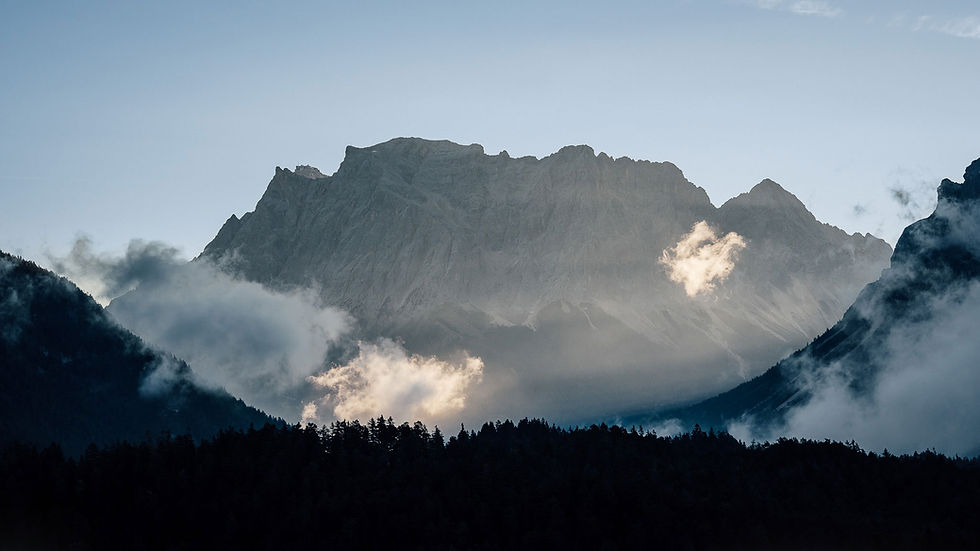 Berggipfel, Nebel und Bäume im Sonnenlicht, Landschaftsfoto, MaxBergVision.