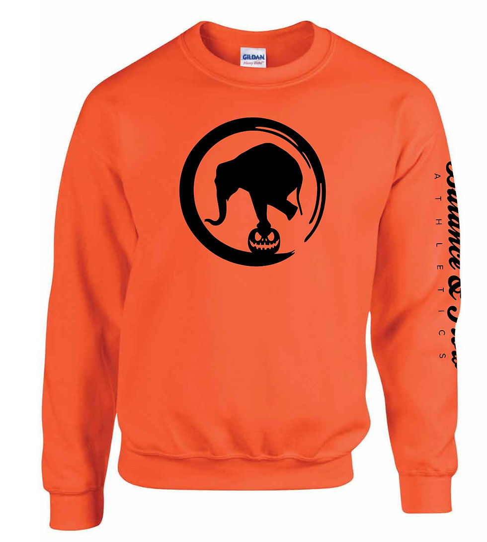 Balance & Frighten Orange Crewneck