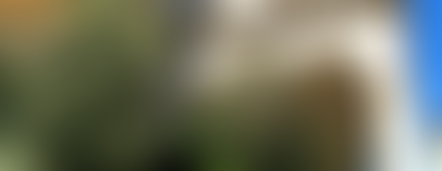 The Villa campus overlooks the Arno river