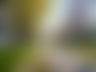 Top Strategies for Buying and Selling Your Home in Michigan This Year