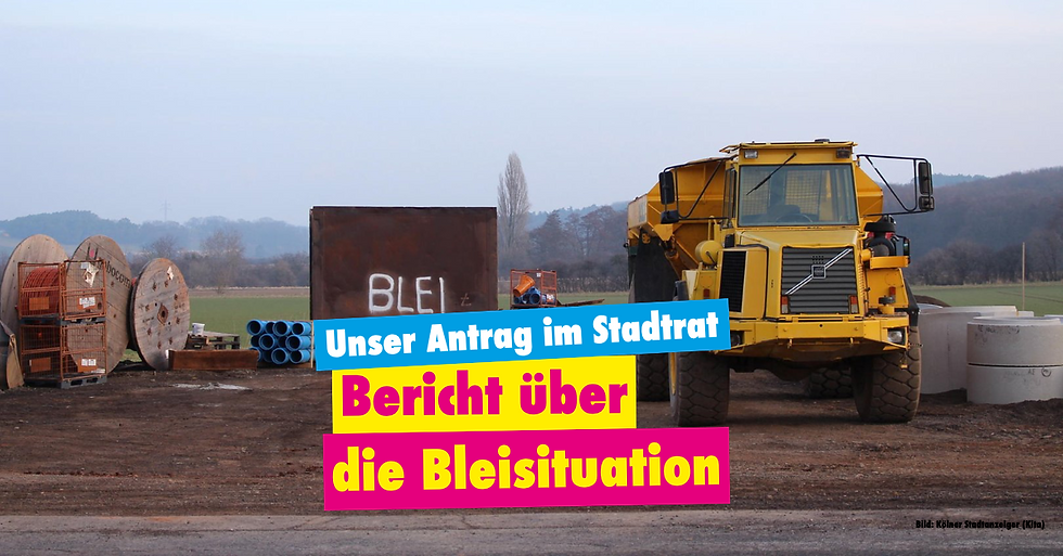 Bericht über die Bleisituation