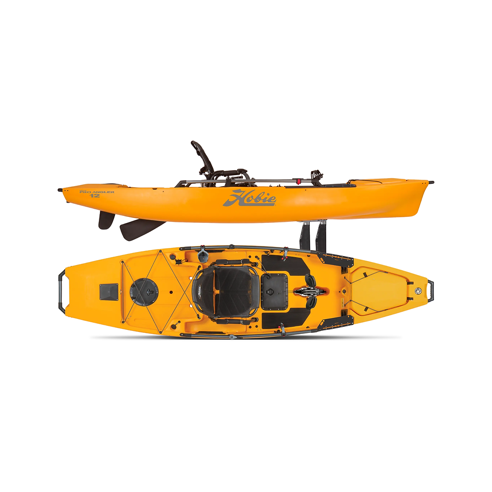 wolfgang-hasselmann-1ICIhK-ElJs-unsplash-edited_edited.jpg