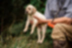 Sporting Life Kennels Folder-36.jpg