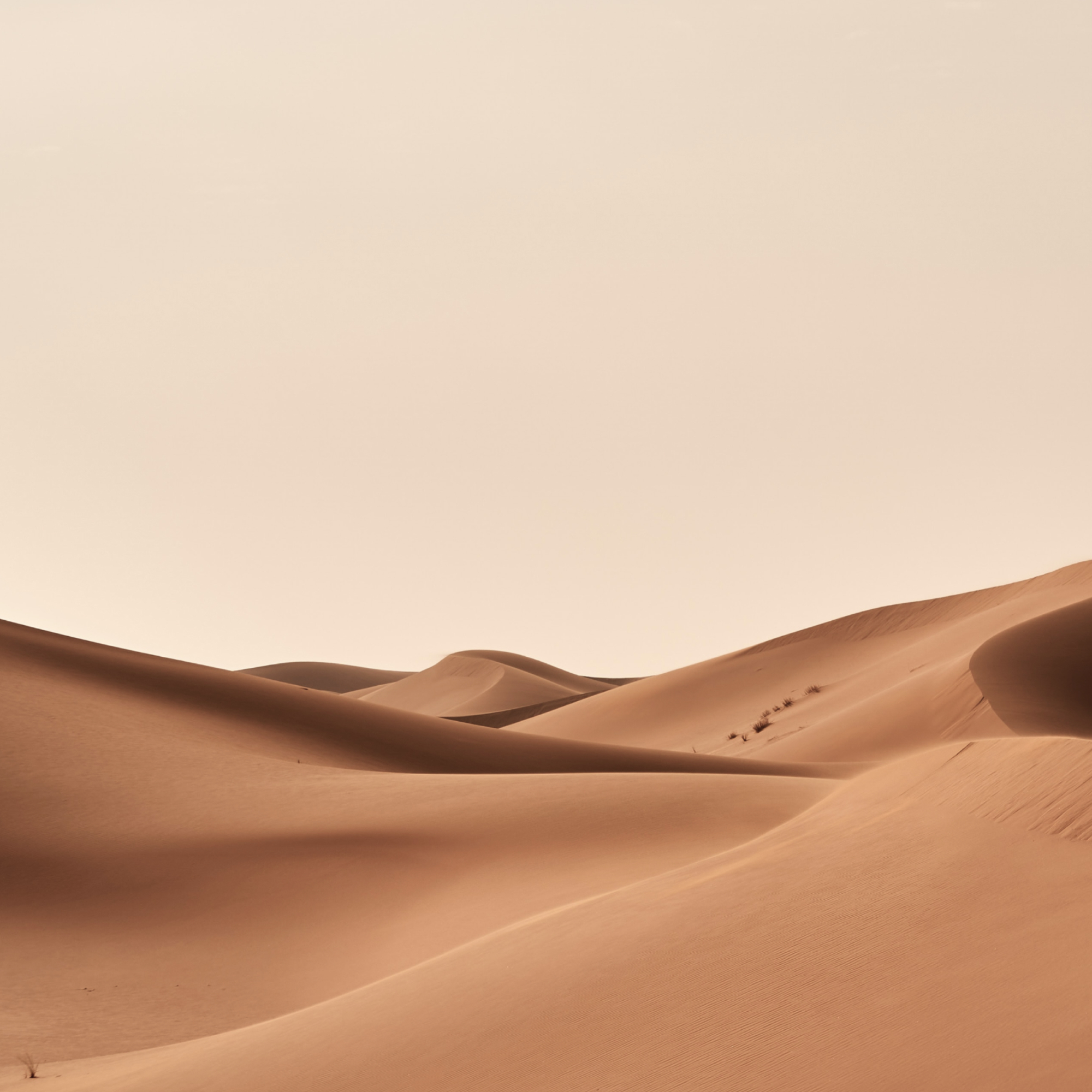wolfgang-hasselmann-1ICIhK-ElJs-unsplash-edited_edited.jpg