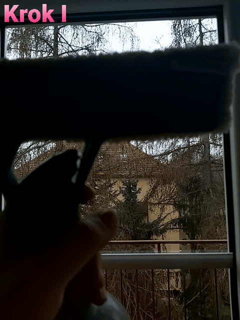 Kärcher WV 2 Premium