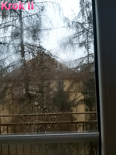 Kärcher WV 2 Premium