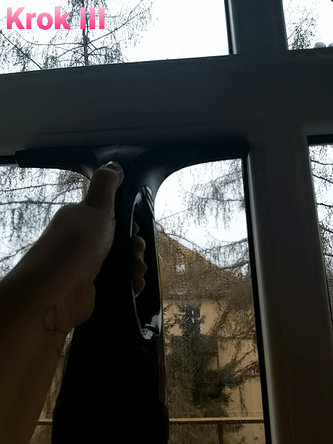 Kärcher WV 2 Premium