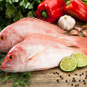 Conoce el favorito de las recetas caribeñas: el pargo rojo