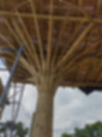Estructura en guadua (bambĆŗ) en Colombia