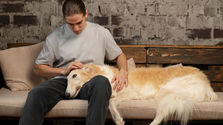 Helping Your Pet Stay Comfortable in Their Final Months