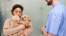 Why In-Home Vet Visits Are Less Stressful for Senior and Hospice Pets