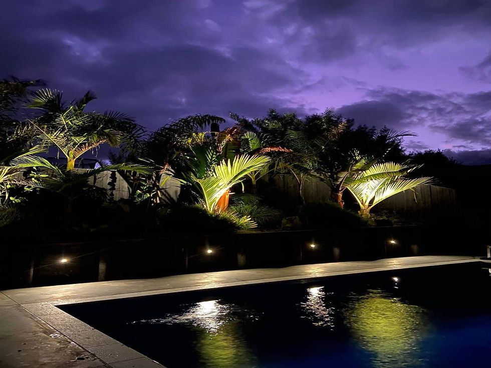 Blackout Electric Lighting design with Freedom Pool.jpg