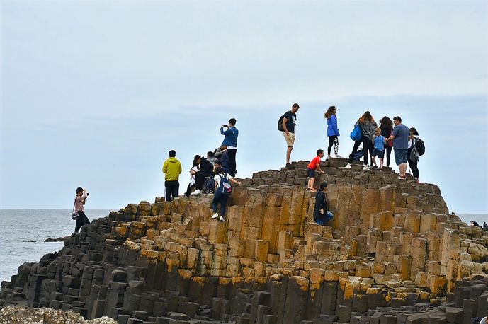 DSC_3835_edited.jpg
