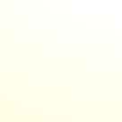 sedef_color_bg.jpg