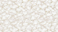 Marble Background_edited.jpg