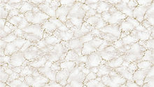 Marble  Background_edited.jpg