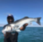 guide de pêche en Normandie 1