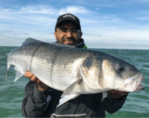moniteur de pêche 76