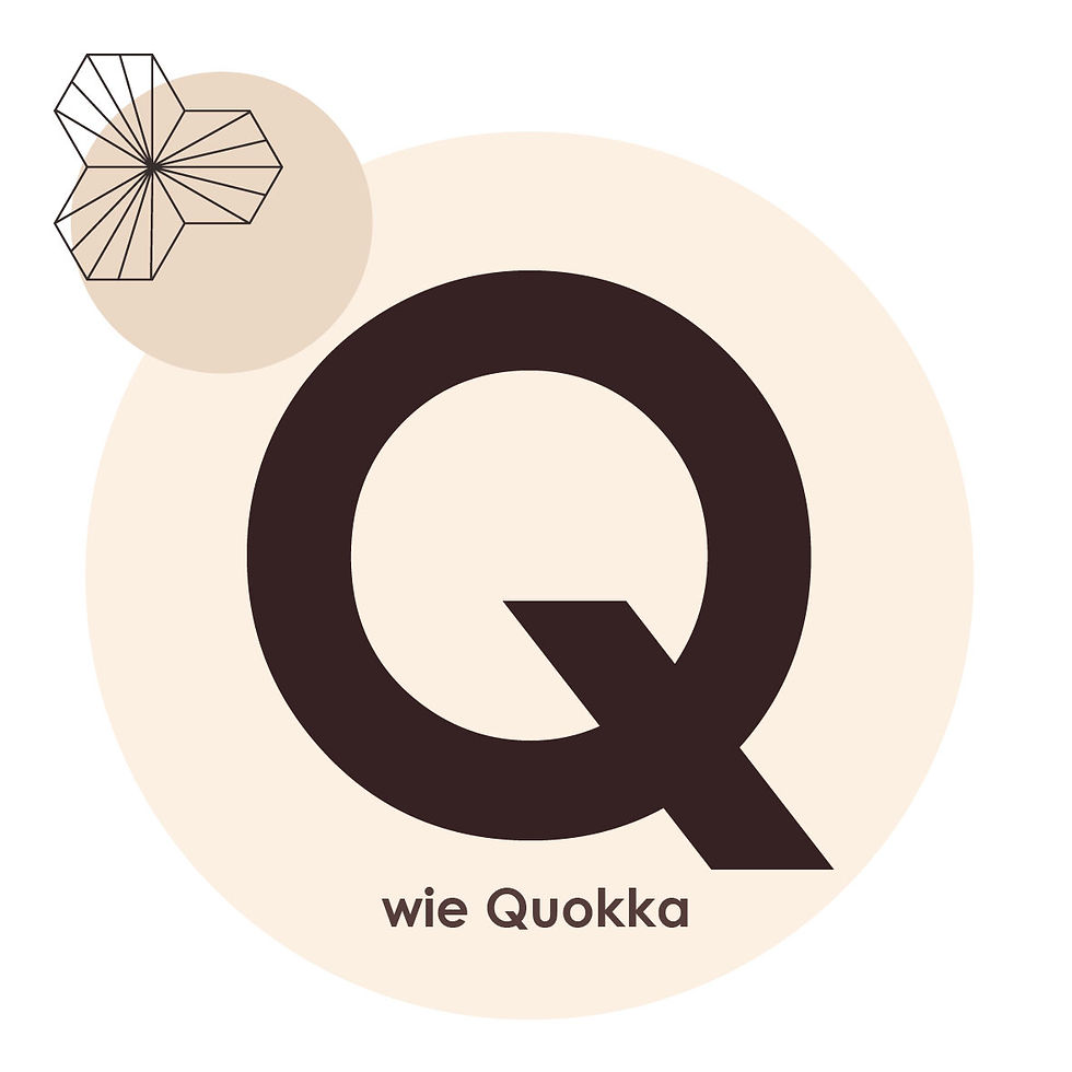 _sf_charakter_q_s-01