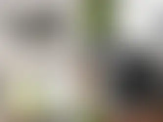 Whole House Fan vs Air Conditioner Compared