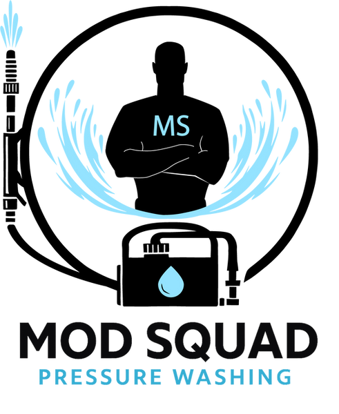 MS_Logo_Alpha.png