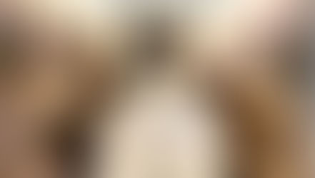 Verschiedene spirituelle Krafttiere, symbolisch für die Bedeutung von Krafttieren spirituell und kostenloses krafttiere orakel online bei Kristallgöttin