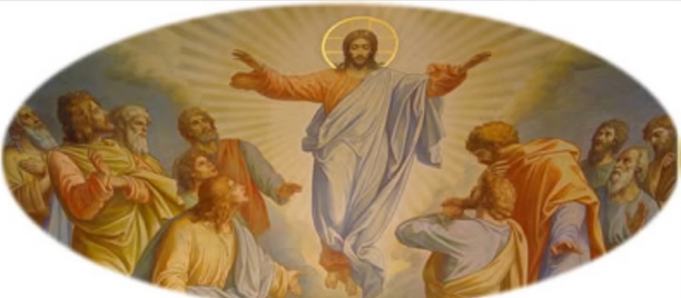 Real Luxury - Rede Globo! Ana Furtado, Amazing A-Lister Rede Globo Ana Furtado!