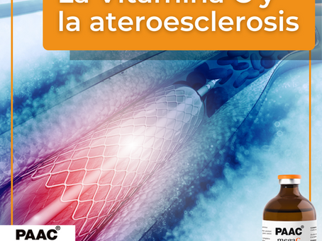 La Vitamina C y la ateroesclerosis