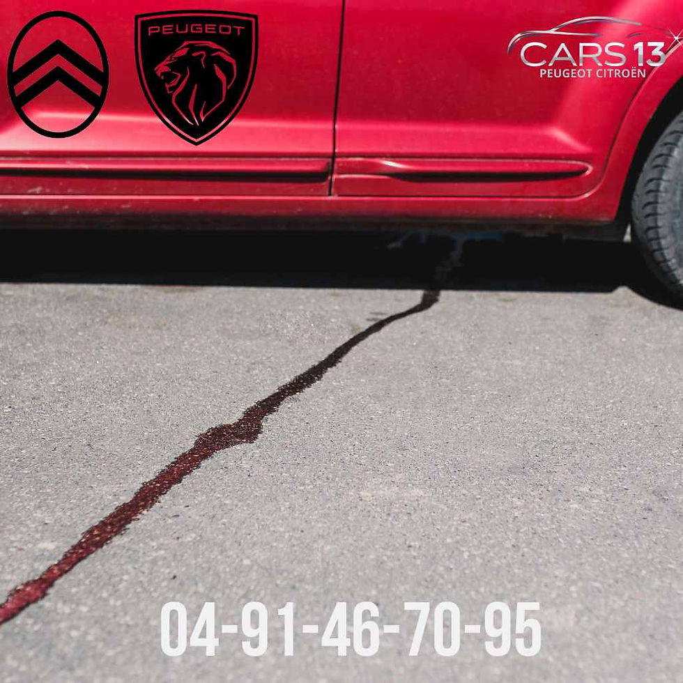 courroie humide Citroën PureTech inspection atelier Marseille