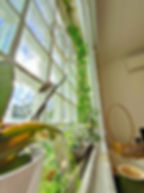 Soin du visage relaxant avec massage crânien dans un institut à Gardanne