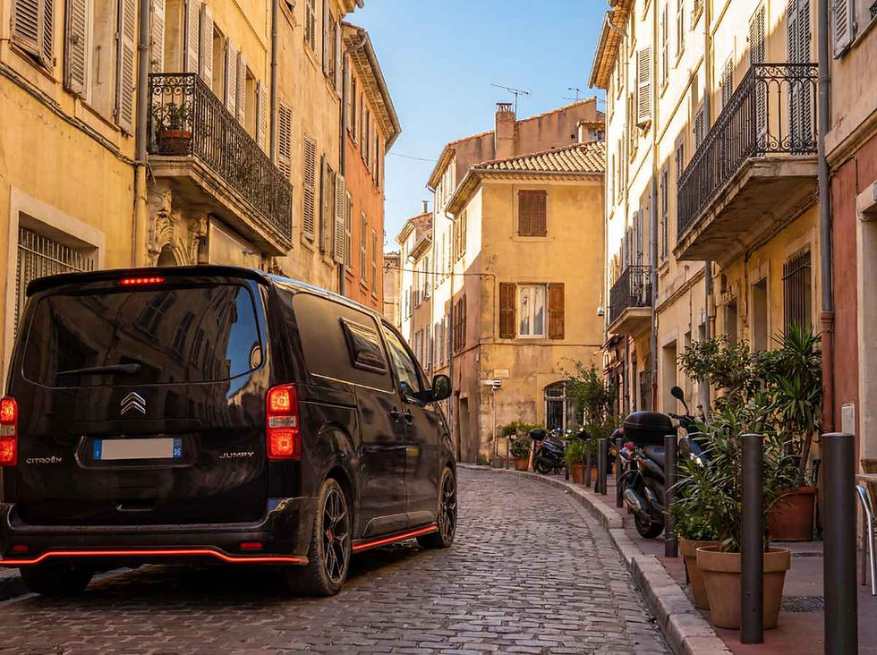 Berlingo électrique en situation professionnelle réelle