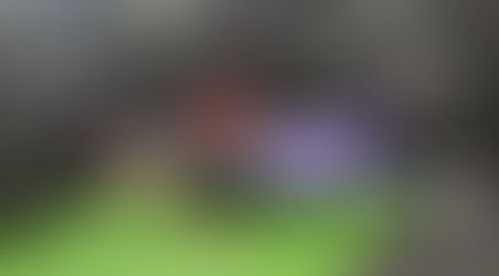 Step back into gratitude