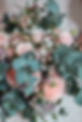 Fotos Hochzeit