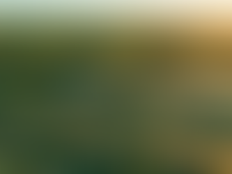 ¿POR QUÉ INVERTIR EN UN TERRENO?