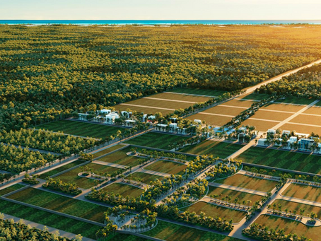 ¿POR QUÉ INVERTIR EN UN TERRENO?