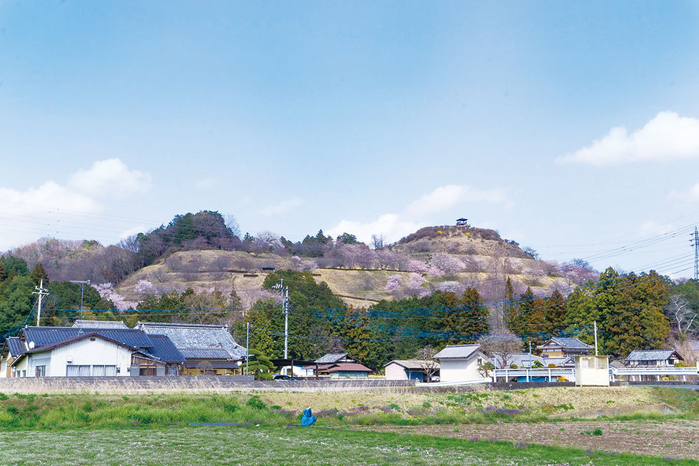 SNS皆川城遠景.jpg