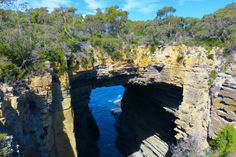 Fan-TASSIE-stic!