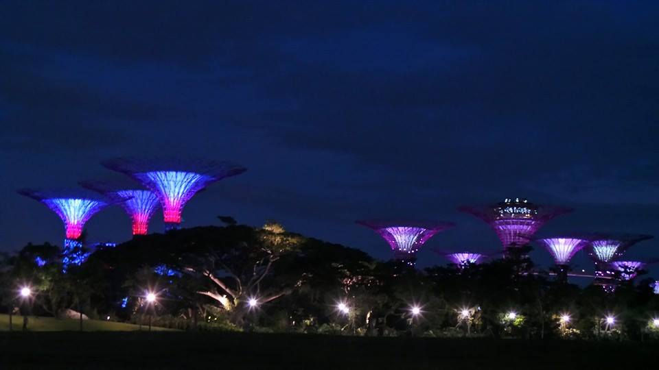 Gardens By The Bay at night