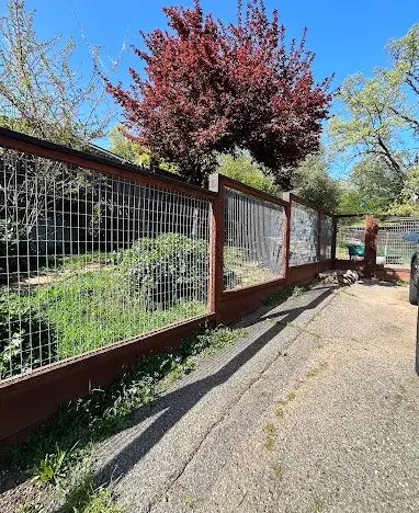 a custom-built fence constructed from wood framing and welded wire mesh panels_