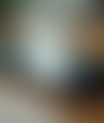 Maximize Your Chances on Loss and Found Platforms