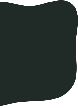 HOMEPAGE-WORK.png